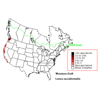 Western Gull distribution map