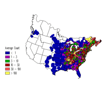 American Black Duck winter distribution map