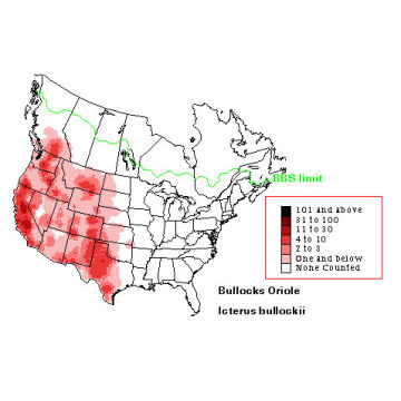 Bullock's Oriole distribution map