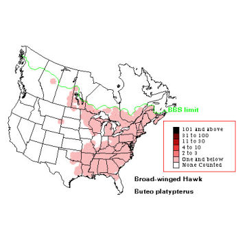 Broad-winged Hawk distribution map