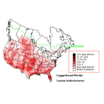 Loggerhead Shrike distribution map