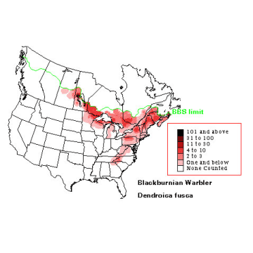 Blackburnian Warbler distribution map