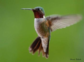 Male in flight in Littleton, Colorado on July 24, 2008