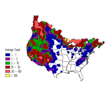 Common Raven winter distribution map