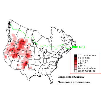 Long-billed Curlew distribution map