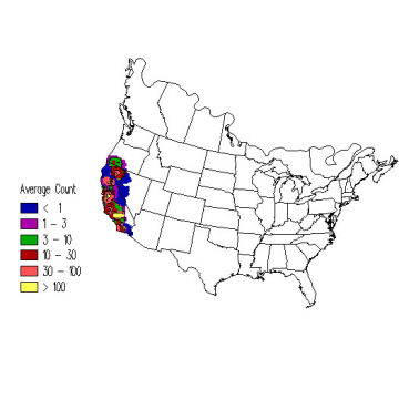 Tricolored Blackbird winter distribution map