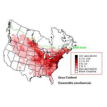 Gray Catbird distribution map