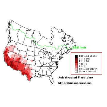 Ash-throated Flycatcher distribution map