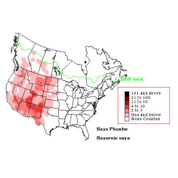 Say's Phoebe distribution map