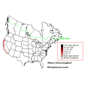 Allen's Hummingbird distribution map