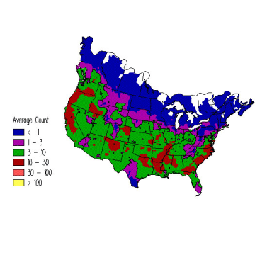 Northern Flicker winter distribution map