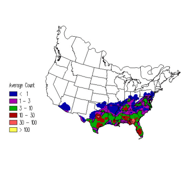 American Black Vulture winter distribution map
