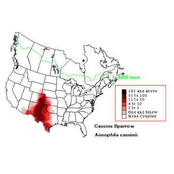 Cassin's Sparrow distribution map