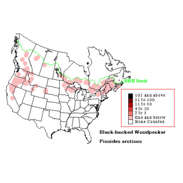 Black-backed Woodpecker distribution map