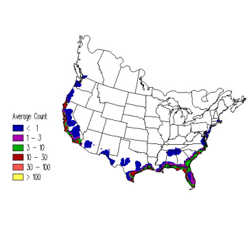 Willet winter distribution map