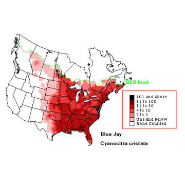 Blue Jay distribution map