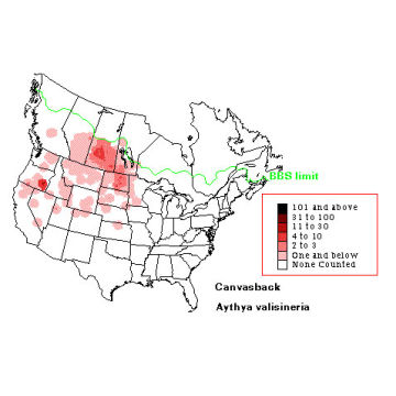 Canvasback distribution map