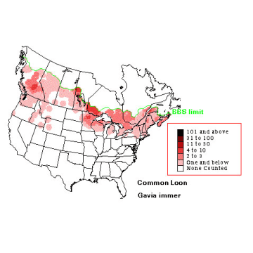 Common Loon Summer Distribution Map