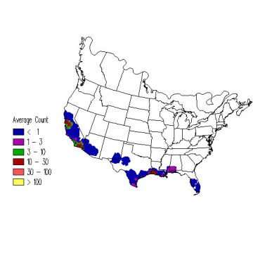 Black-necked Stilt winter distribution map