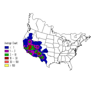 Sage Sparrow winter distribution map