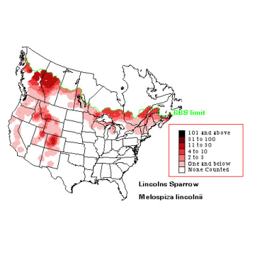 Lincoln's Sparrow distribution map