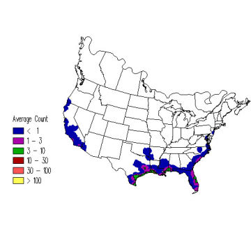 Caspian Tern winter distribution map