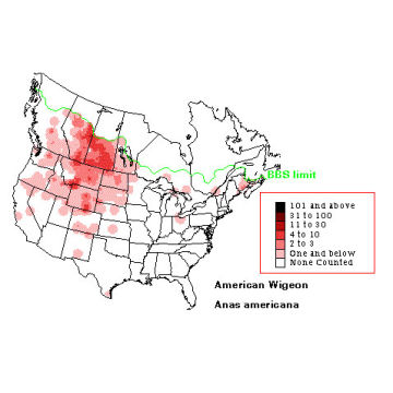 American Wigeon distribution map