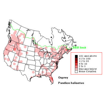 Osprey distribution map