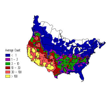 White-crowned Sparrow winter distribution map