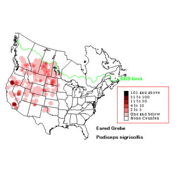 Eared Grebe distribution map