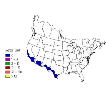 Hooded Oriole winter distribution map