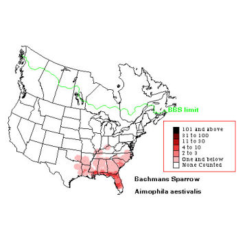 Bachman's Sparrow distribution map