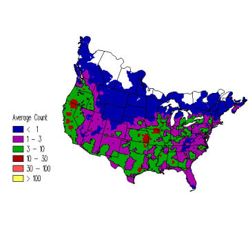 Red-tailed Hawk winter distribution map