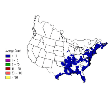 Dickcissel winter distribution map