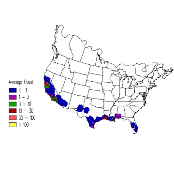Black-necked Stilt winter distribution map
