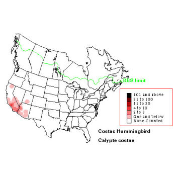 Costa's Hummingbird distribution map