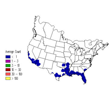 Summer Tanager winter distribution map