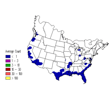 Barn Swallow winter distribution map