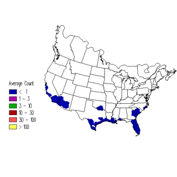 American Redstart winter distribution map