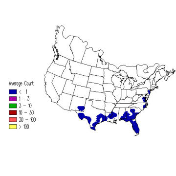 Eastern Kingbird winter distribution map