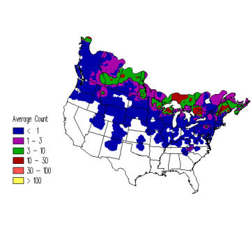 White-winged Crossbill winter distribution map