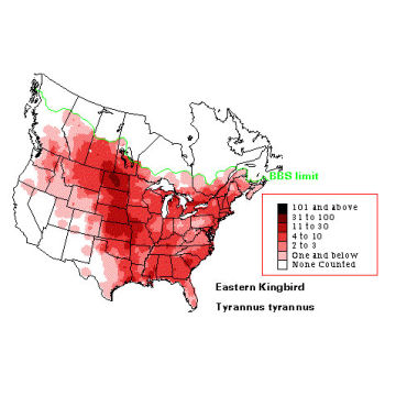 Eastern Kingbird distribution map