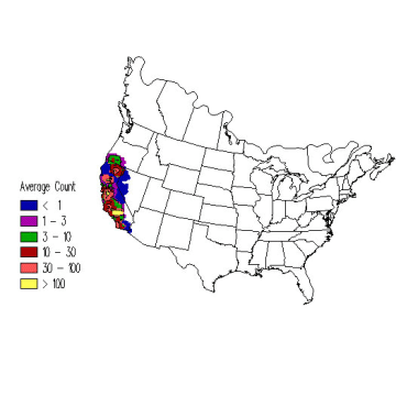 Tricolored Blackbird winter distribution map