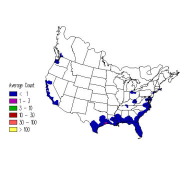 Common Tern winter distribution map