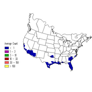 American Redstart winter distribution map