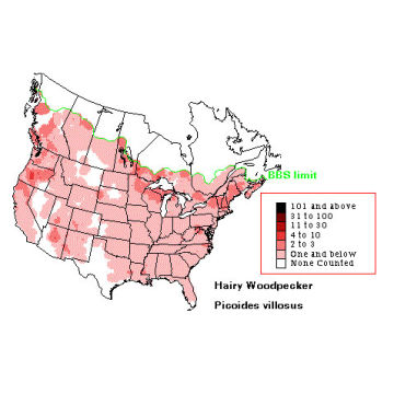 Hairy Woodpecker distribution map