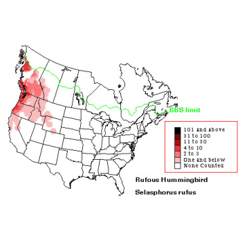 Rufous Hummingbird distribution map