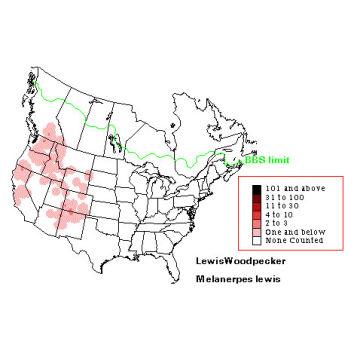 Lewis' Woodpecker distribution map