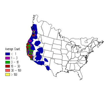 Band-tailed Pigeon winter distribution map