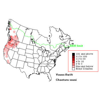 Vaux's Swift distribution map